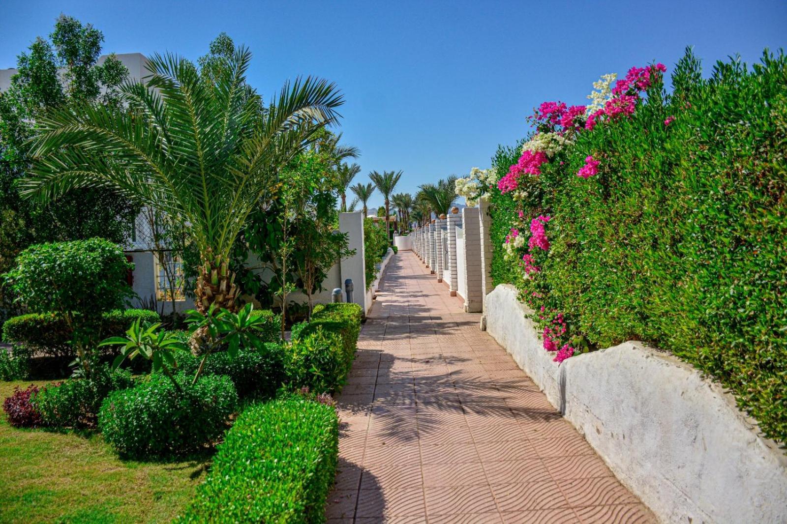 Desert View Sharm Hotel Exteriér fotografie